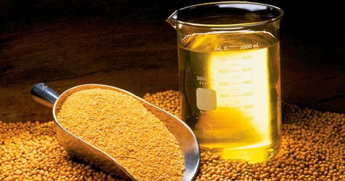 Aquecimento da demanda eleva preço do óleo de soja no BR