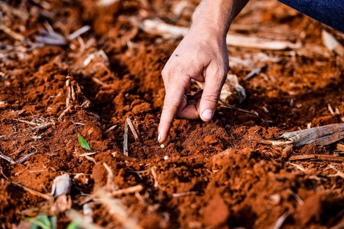 Projeto Soja Brasil marca Abertura Nacional do Plantio da Safra 23/24