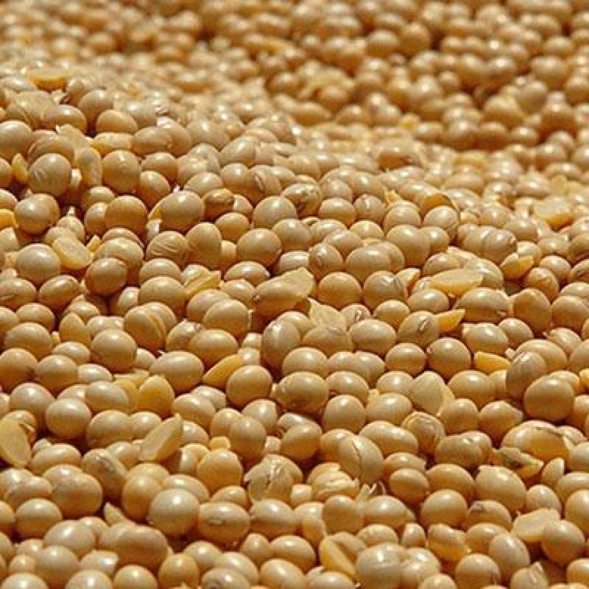 Soja abre em alta nos futuros da Bolsa de Chicago neste dia 14/08