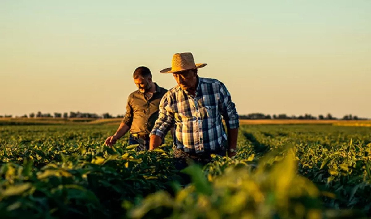 A sucessão no empreendimento agroindustrial