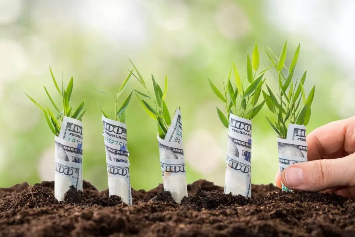 Registro de CPRs na safra 2022/23 cresceu 56%, chegando a R$ 272,7 bi