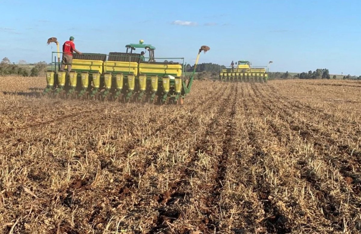 Associação Produtores de Algodão conseguem liberação para plantar soja durante o vazio sanitário no MT