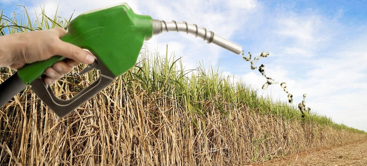 Etanol hidratado fecha agosto estável e anidro tem queda intensas