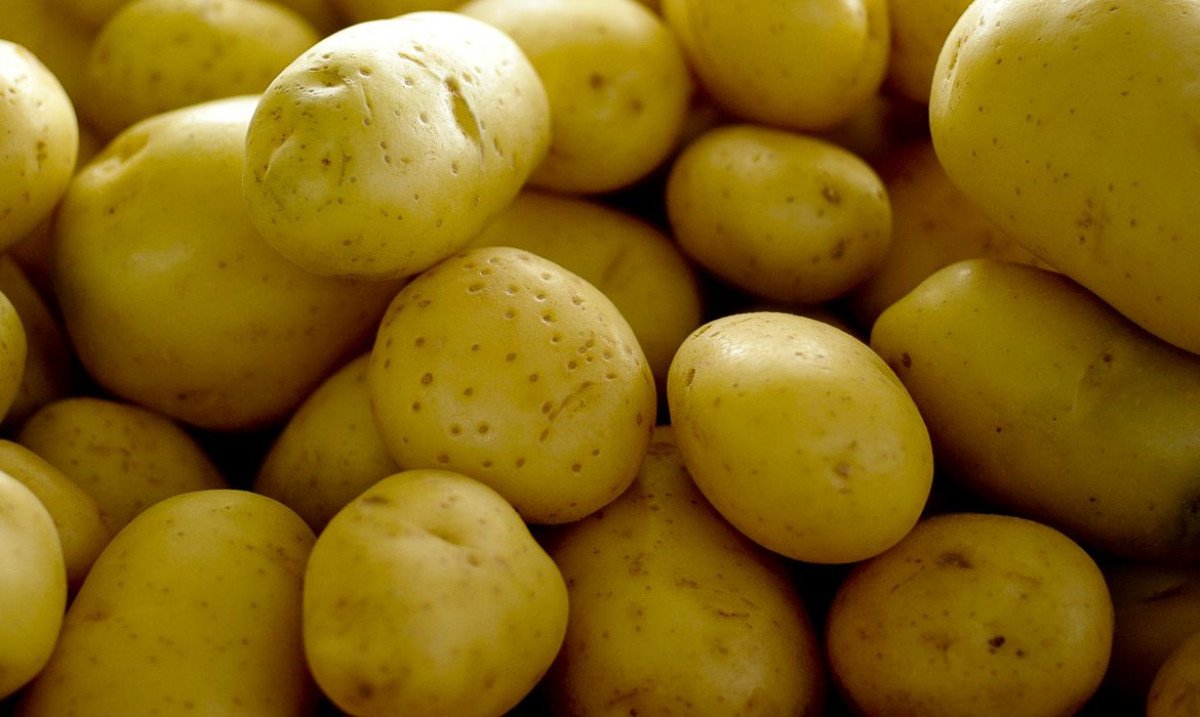 Maior oferta pressiona cotações da batata