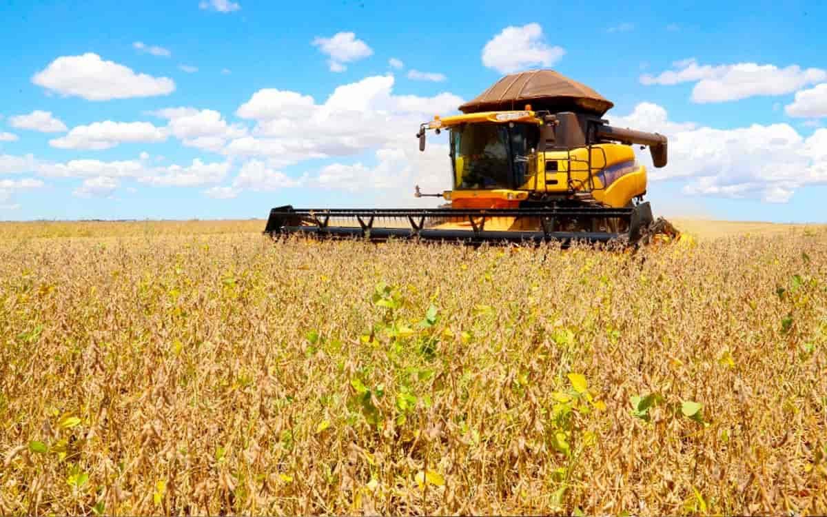 IPPA cai em agosto e queda no acumulado do ano é de 15%