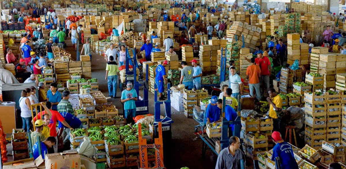 Ipea revisa de 13,2% para 15,5% o valor adicionado do setor agropecuário em 2023