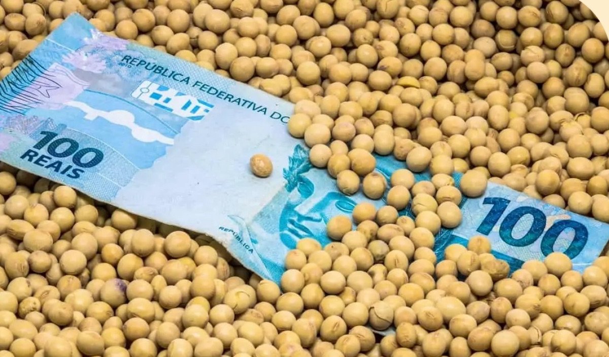 De olho na colheita americana, mercado de soja acumula perdas na Bolsa de Chicago