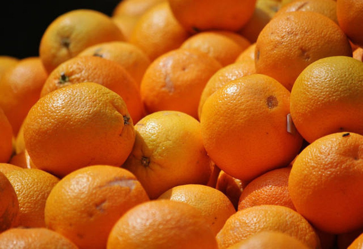 Cotação da laranja se mantém firme e tahiti tem valorização