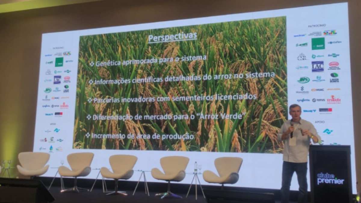 Feijão e arroz: parceria promissora para a segurança alimentar