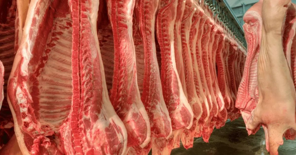 Alta no início de setembro garante avanço na média mensal da carne suína