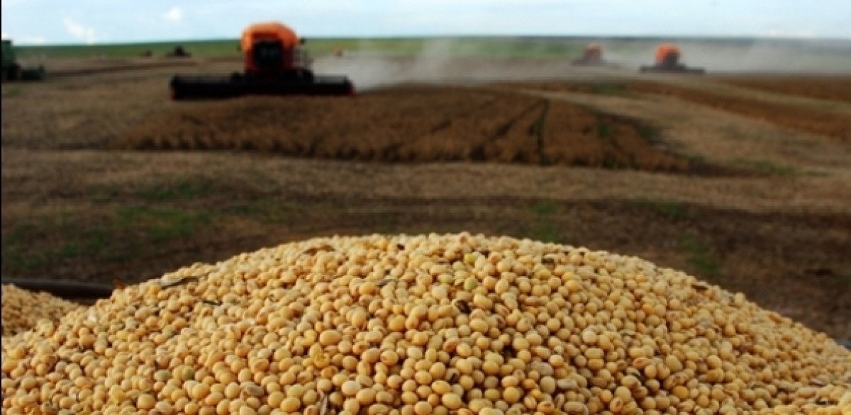 Mercado de soja atento ao início das lavouras precoces de soja nos EUA