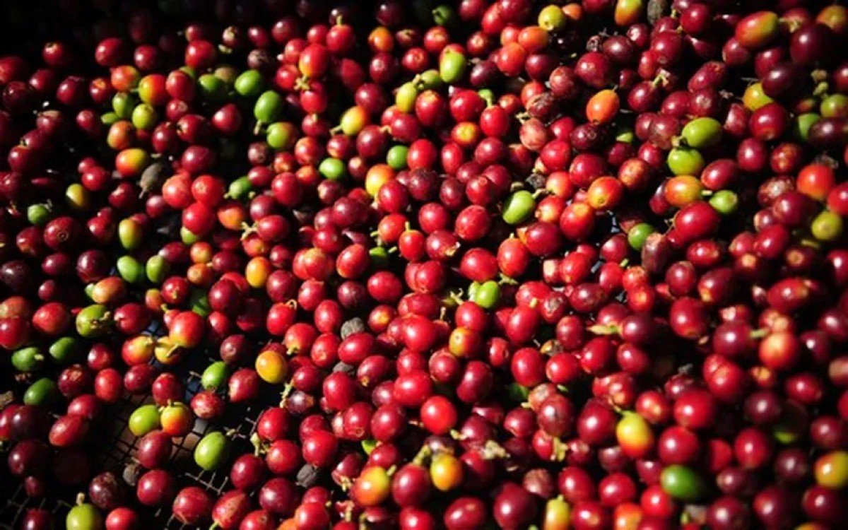 Cotações do café seguem em alta no BR e liquidez volta a aumentar