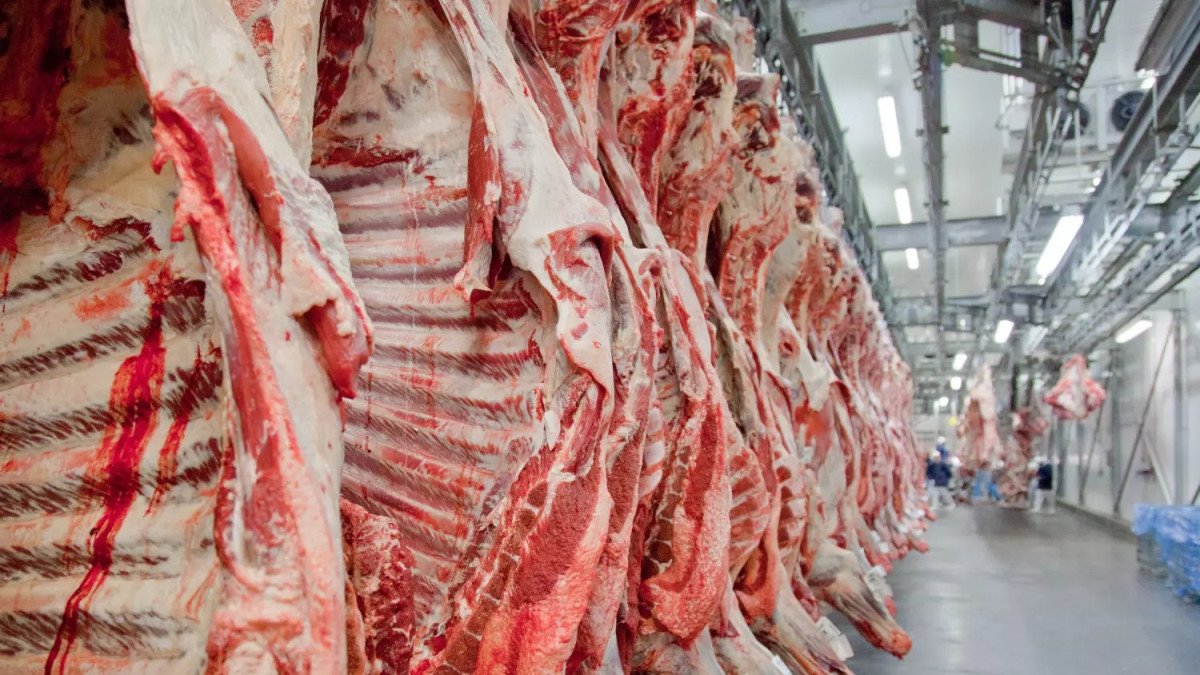 Venda externa de carne bovina em natura pode somar mais de 200 mil ton em nov/23