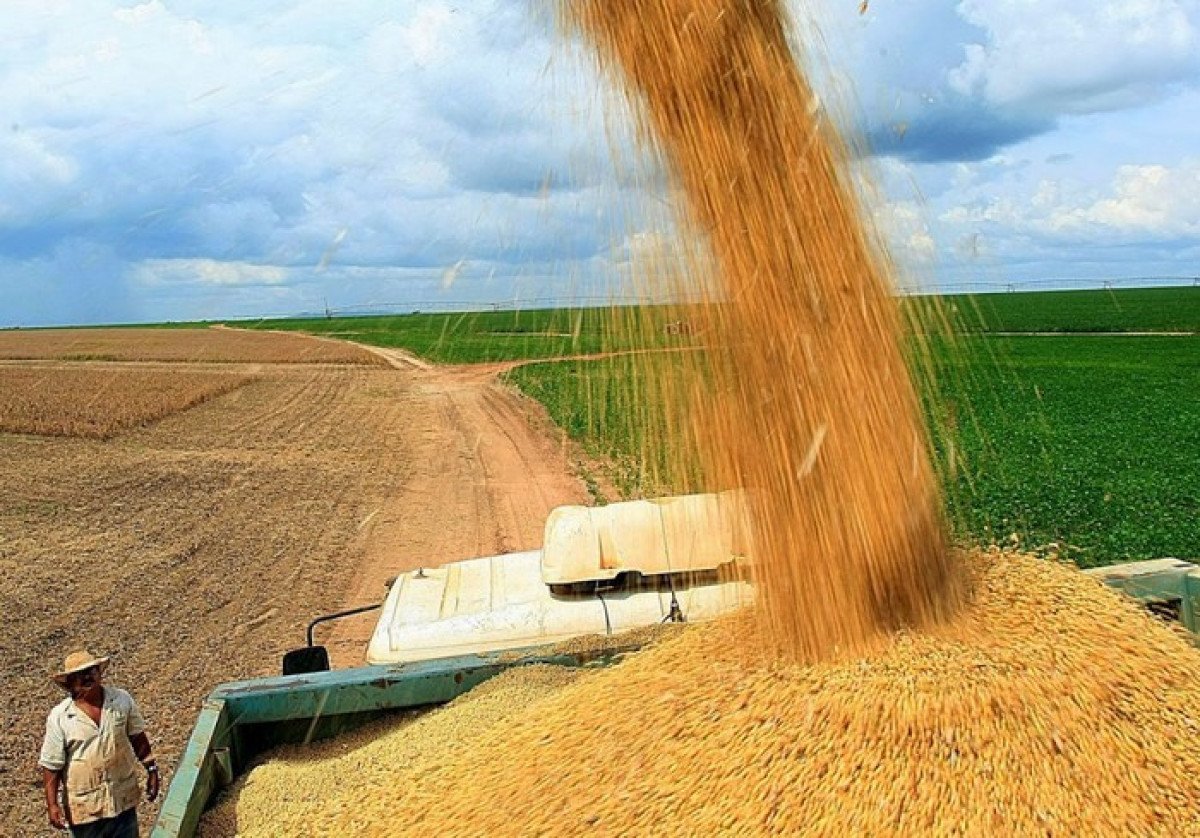 Conab atualiza a estimativa da safra de grãos 2023/2024, que deve chegar a 316,7 milhões de toneladas