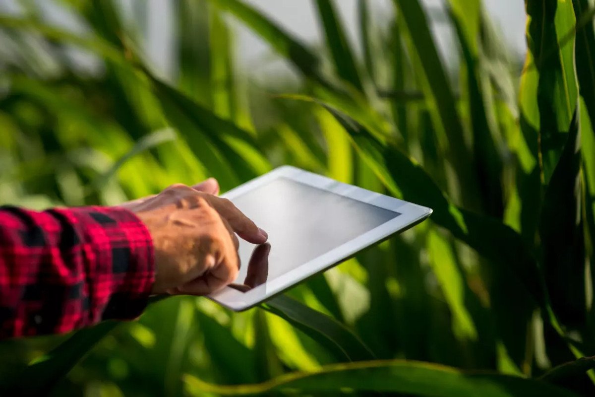 Mapa lança projeto sobre conectividade no campo e planos de sustentabilidade para fomentar ações no agro brasileiro