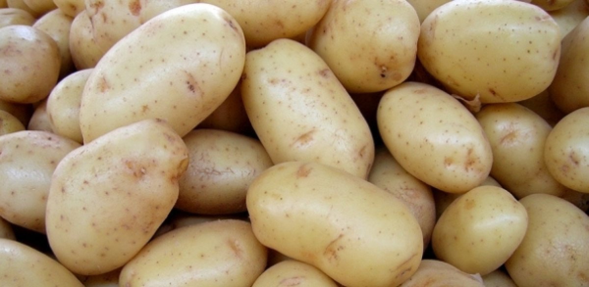 Chuva restringe oferta da batata no mercado e preço sobe