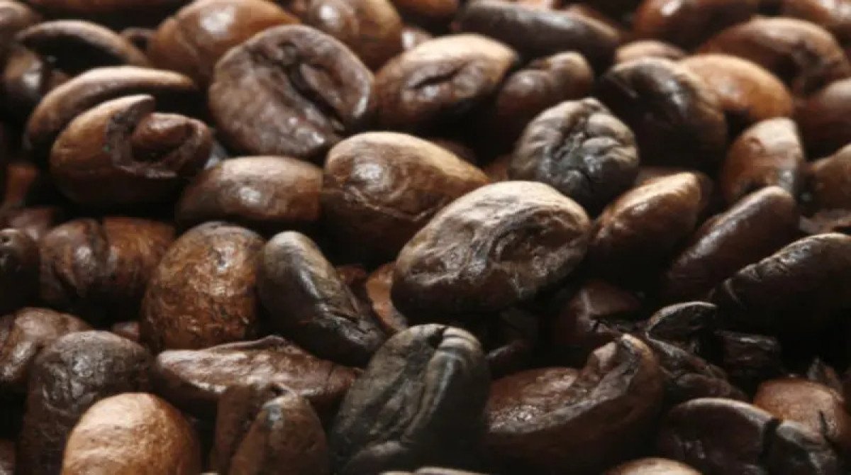Indicador do café arábica volta a fechar acima de R$ 900/SC