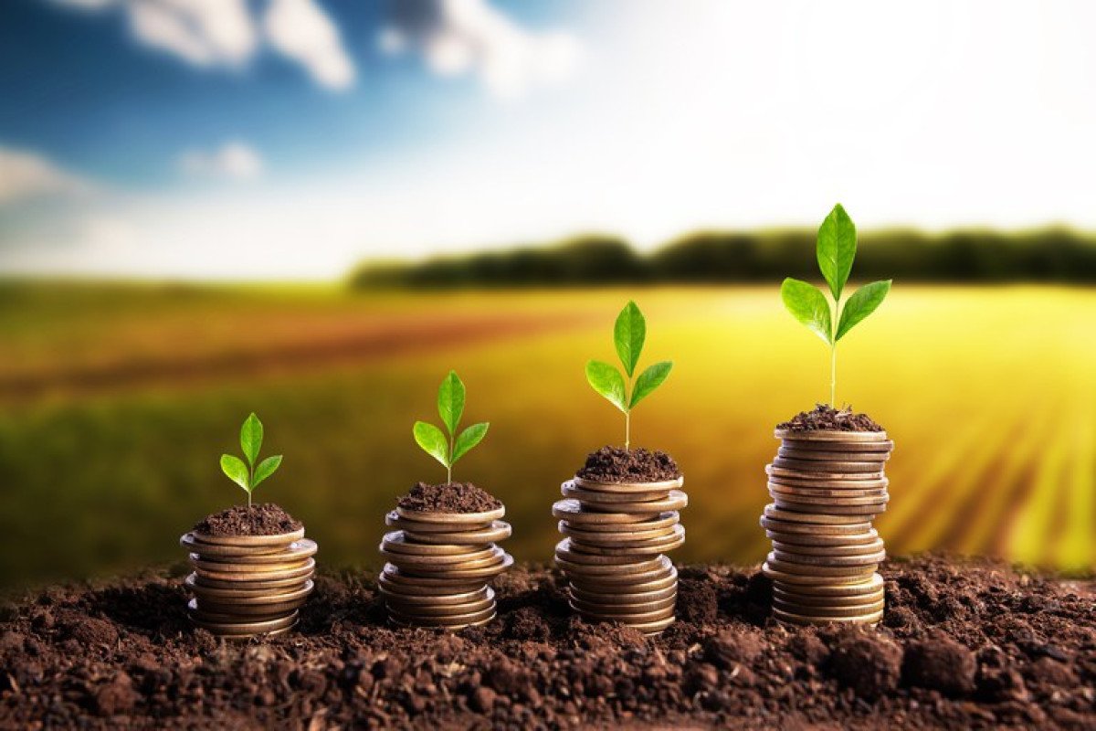 Governo discute evolução de crédito e política do setor agro com bancos