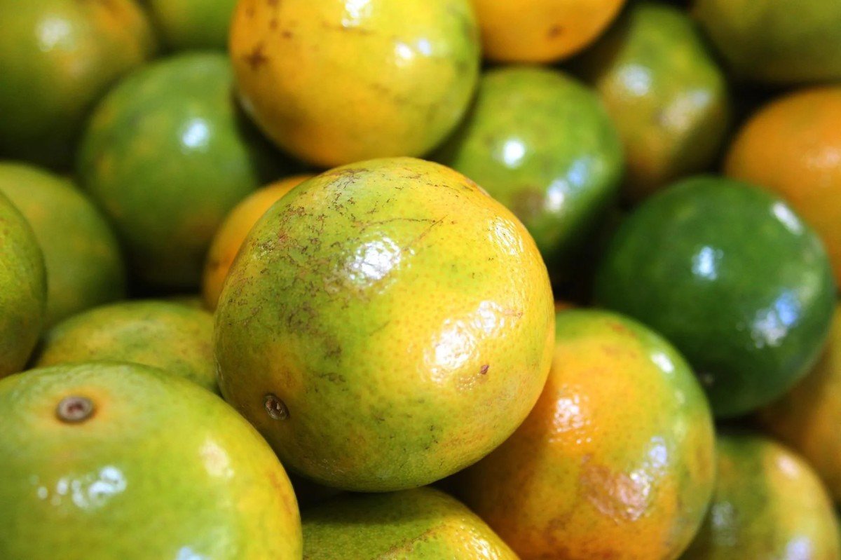 Demandas por tahiti e laranja se aquecem