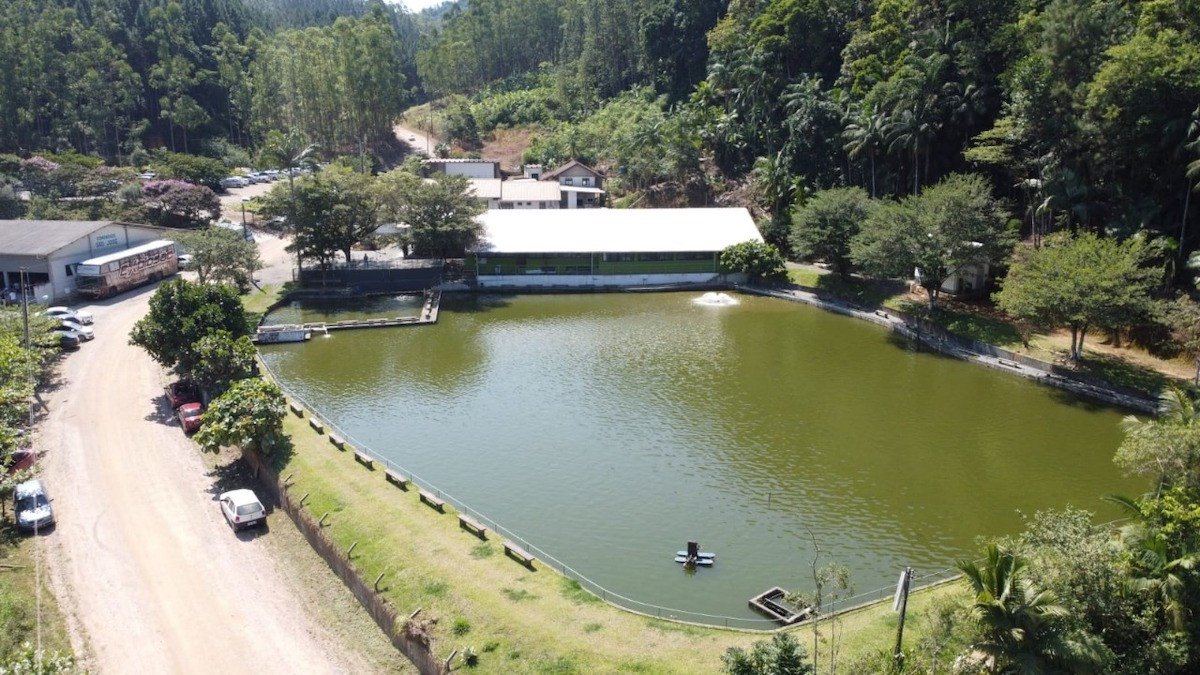 Aquicultura brasileira é acelerada pelas inovações tecnológicas dos últimos anos