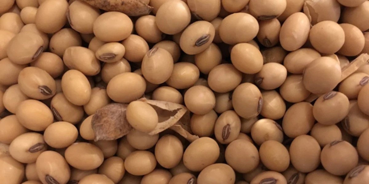 Escassez de chuvas no Centro-Oeste brasileiro afeta positivamente soja na CBOT