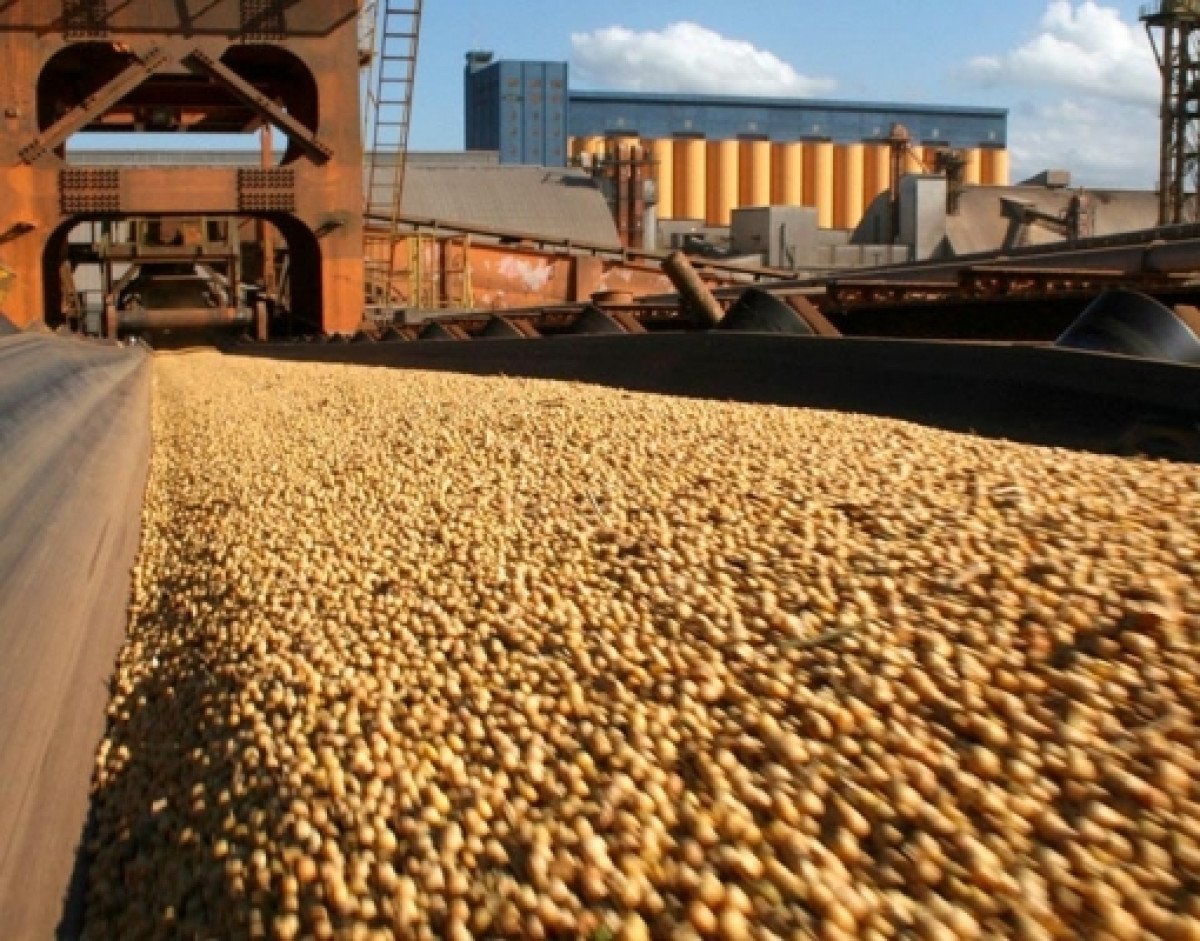 Não existe soja descartada no processo de comercialização, afirma Aprosoja Brasil