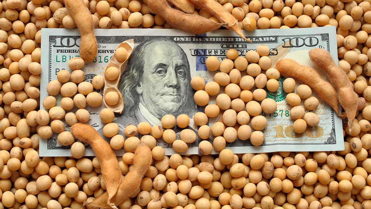 Após três pregões com perdas, soja inicia com leves ganhos em Chicago