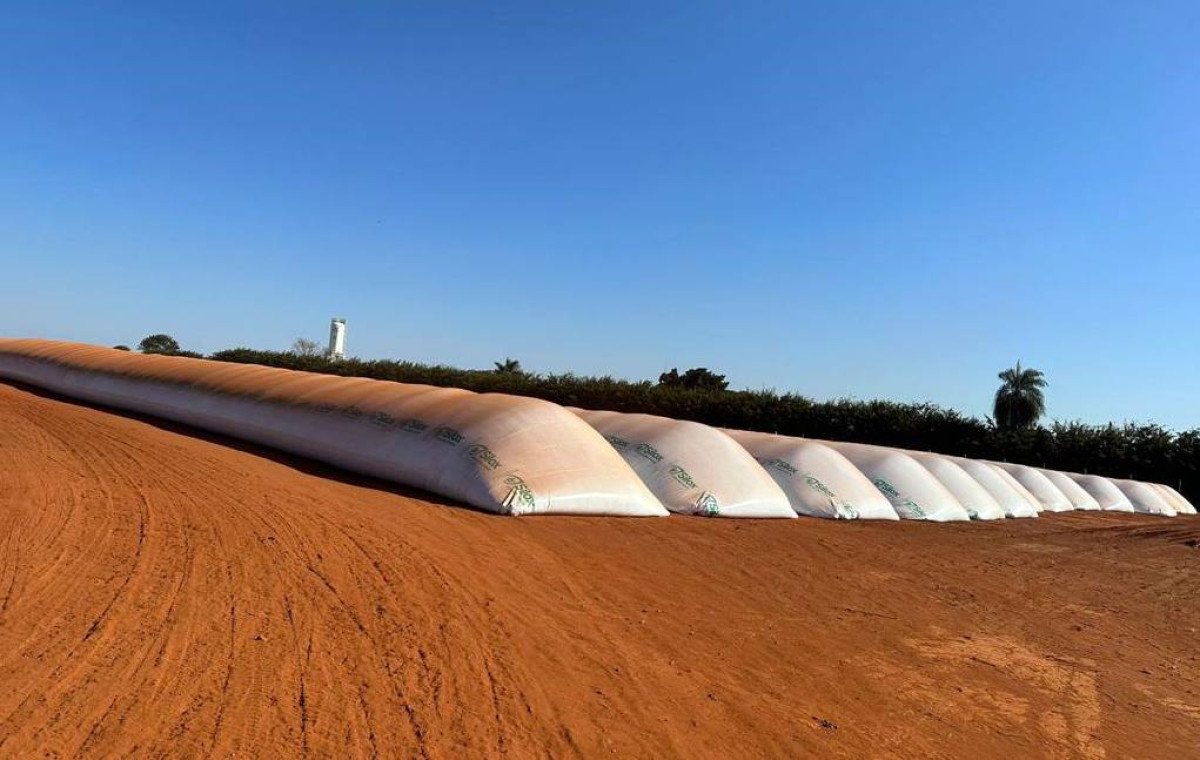 Venda de silo bolsa bate recordes e minimiza problema de armazenamento