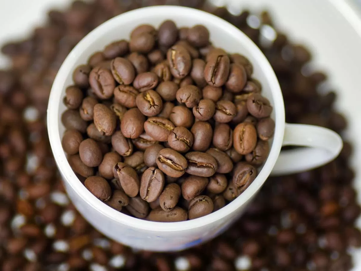 Preços do café arábica caem em 2023 enquanto produção se recuperou