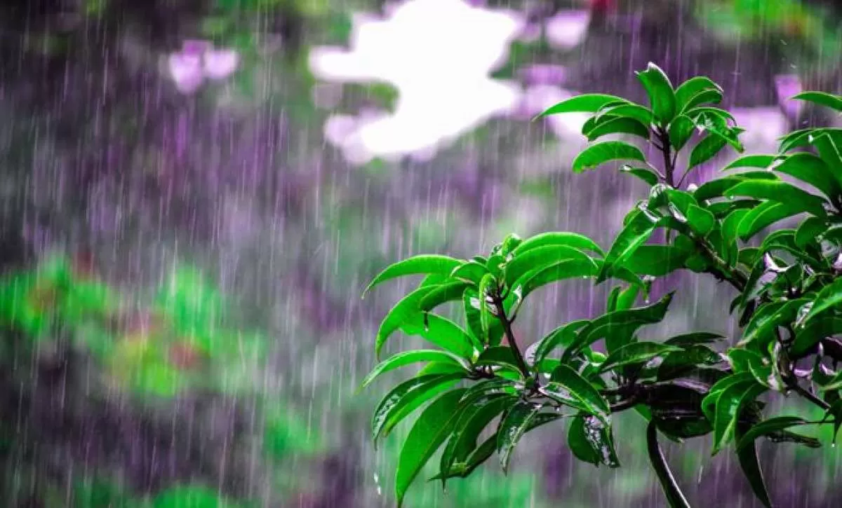 Previsão do clima no Brasil para dezembro de 2023