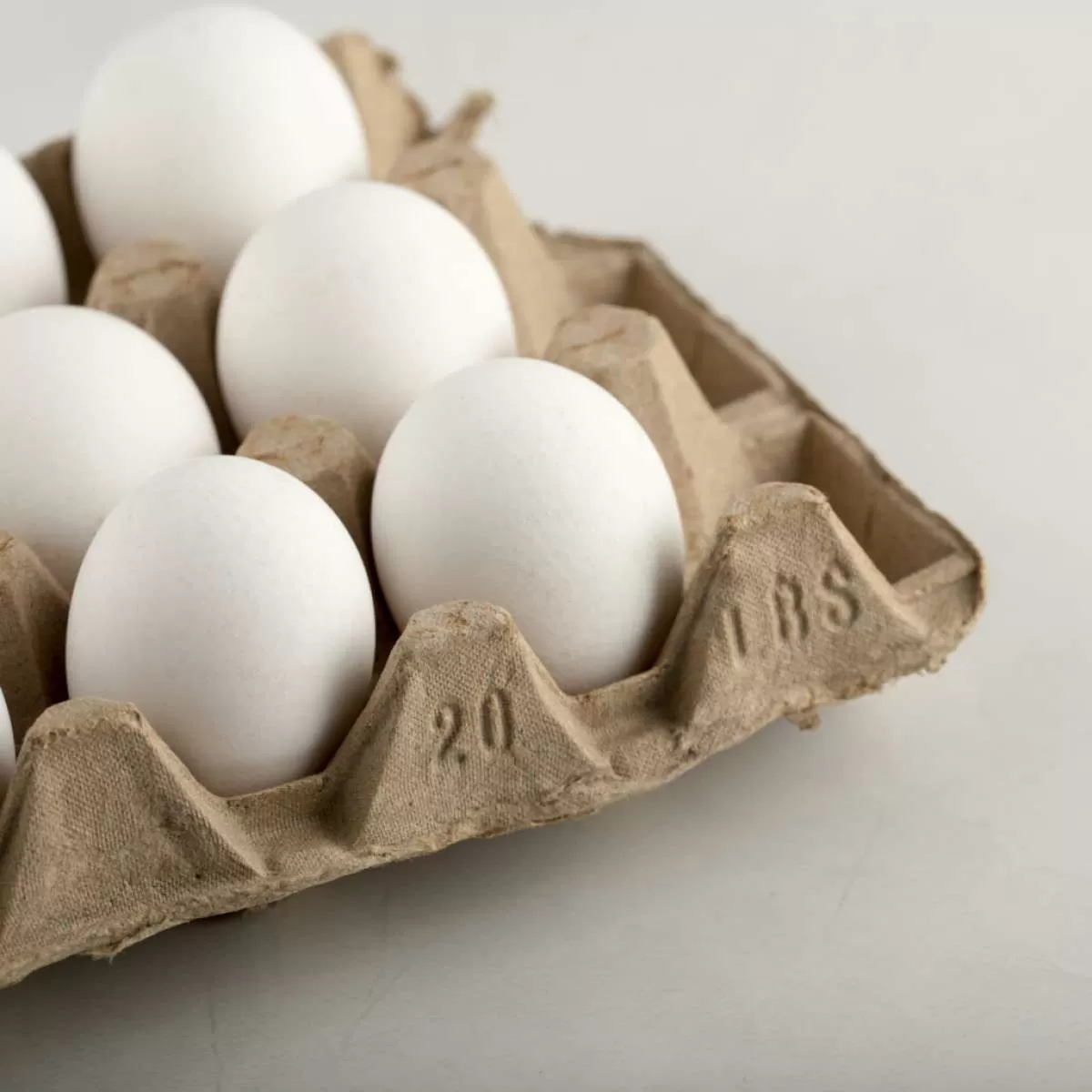 Exportações de ovos batem recorde em novembro com aumento de 99,9%