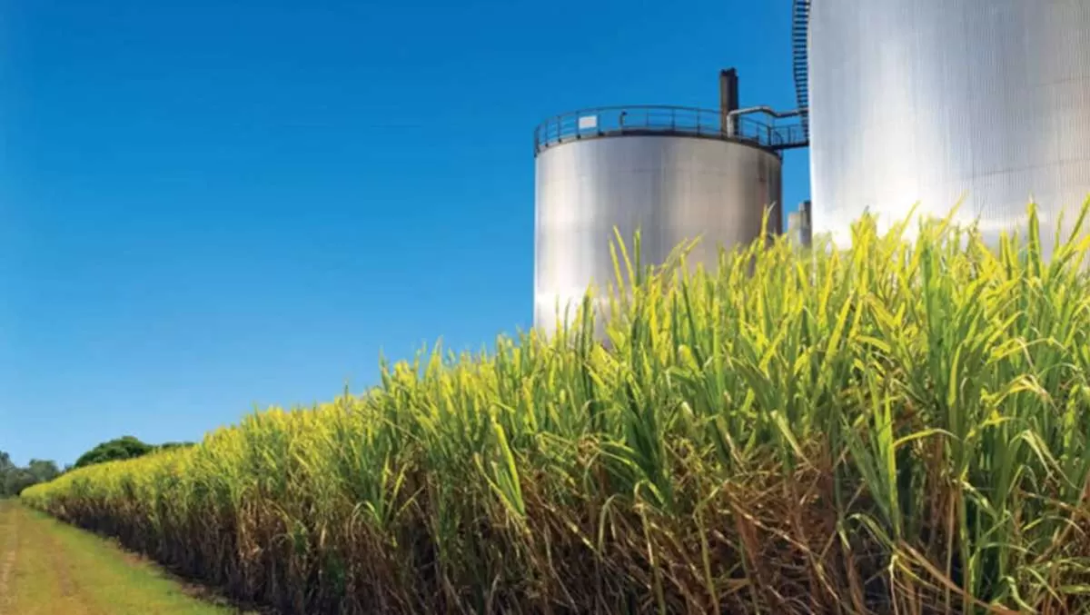 Etanol recua mais 6% e anidro 7% na semana