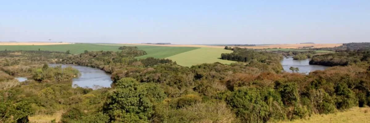 Número de análises do CAR no PR chega a 93%, mas ainda é pequeno segundo FAEP