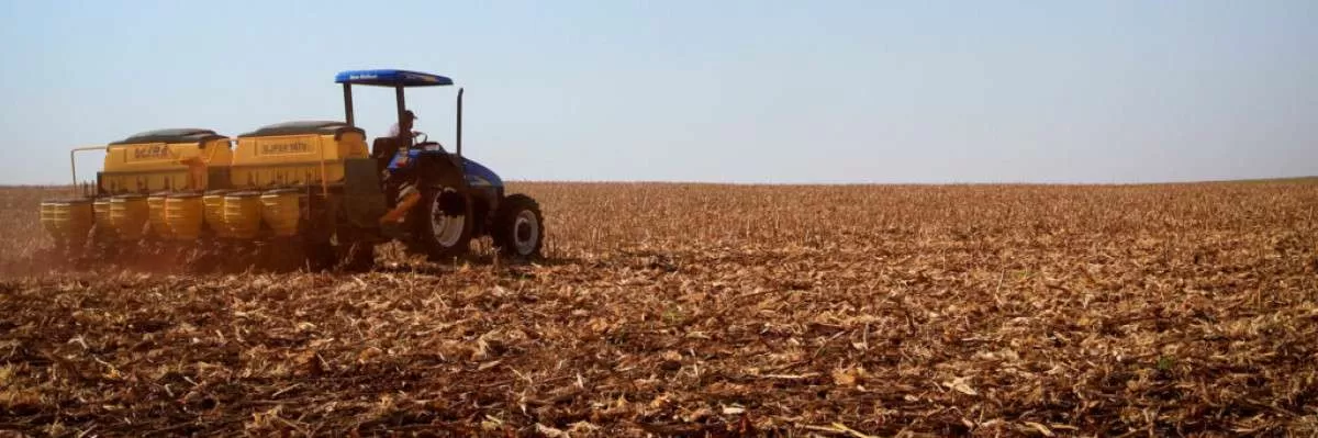Paraná prorroga plantio de soja por causa do excesso de chuvas