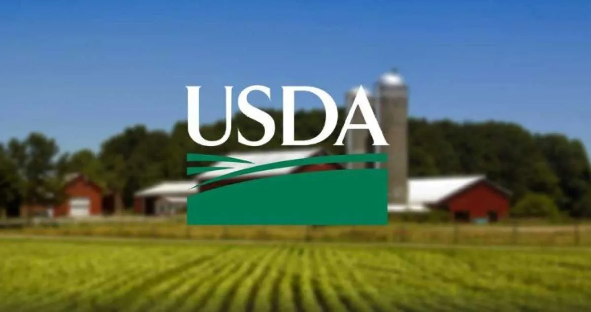 Relatório do USDA ainda repercute no mercado de grãos