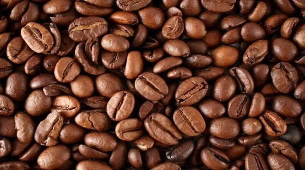 Café robusta atinge novo recorde na série histórica