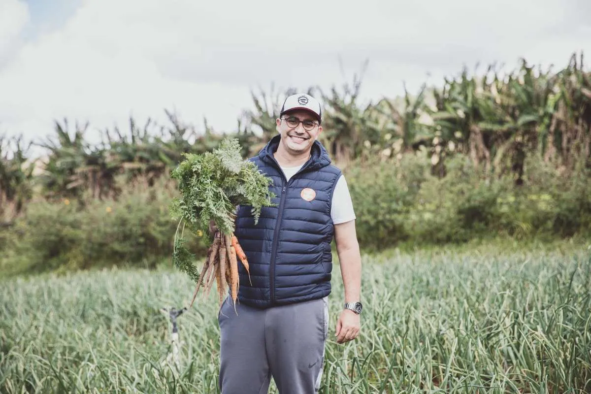 Foodtechs lideram a busca pela densidade alimentar ideal