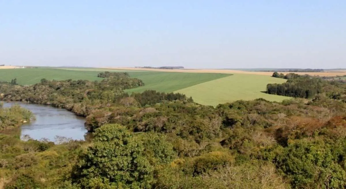 Demora na análise do CAR impede acesso do produtor rural ao crédito