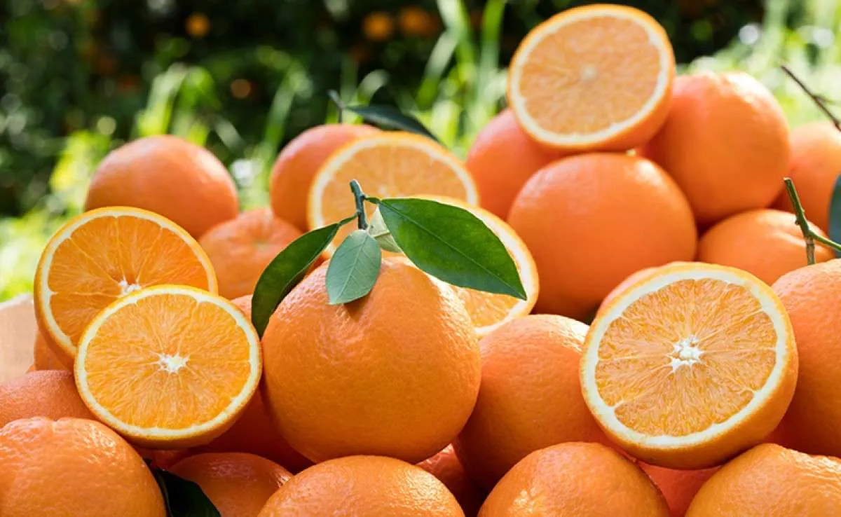 Preços das laranjas no mercado de consumo permanecem firmes
