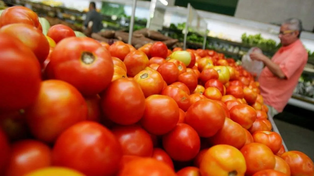Tomate com oferta controlada e preços estáveis