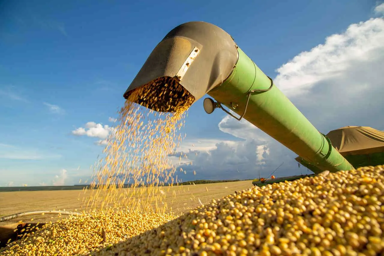 Commodities encerram a sessão em queda após publicação do relatório de oferta e demanda do USDA