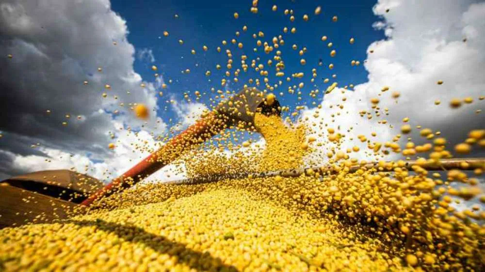Commodities encerram a semana novamente em queda na CBOT