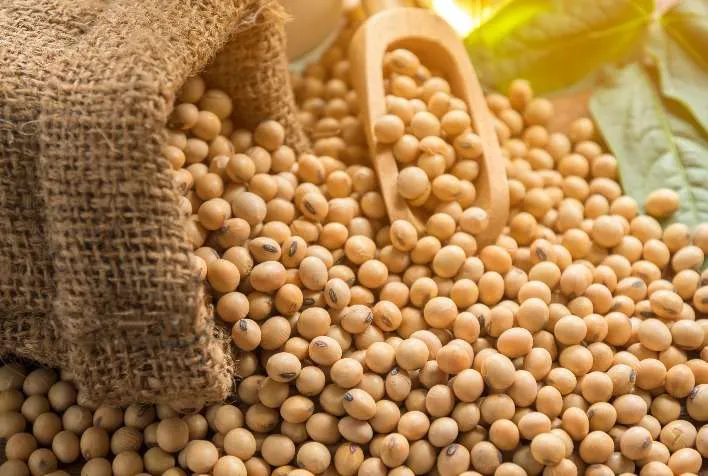 A semana inicia otimista para as commodities na CBOT com soja em alta