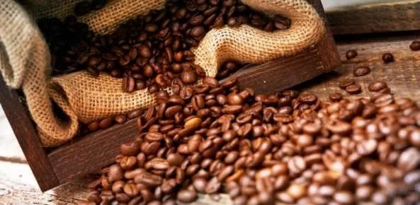 Recentes chuvas trazem certo alívio a produtores de café