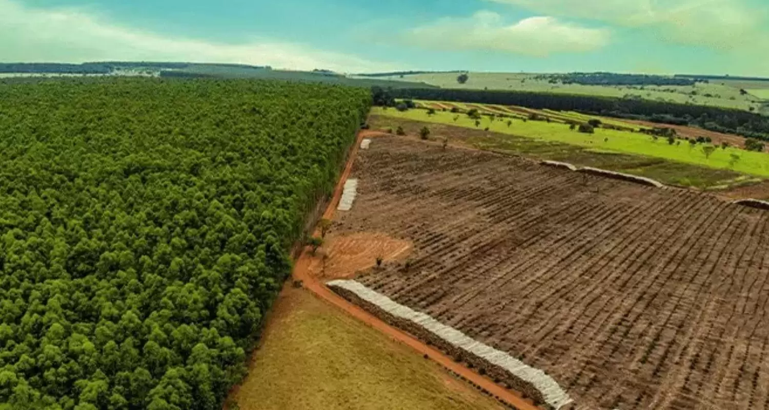 Ministros julgam constitucional compensação de Reserva Legal entre propriedades no mesmo bioma