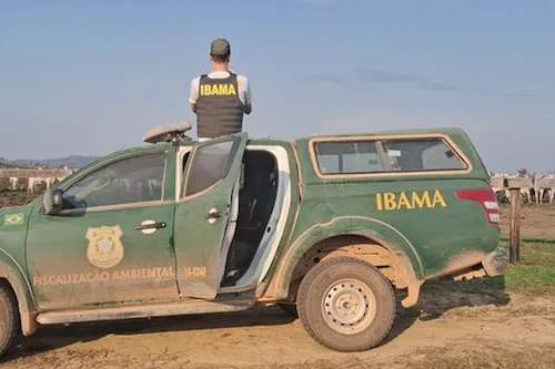 23 frigoríficos são autuados pelo Ibama por compra de gado em áreas desmatadas