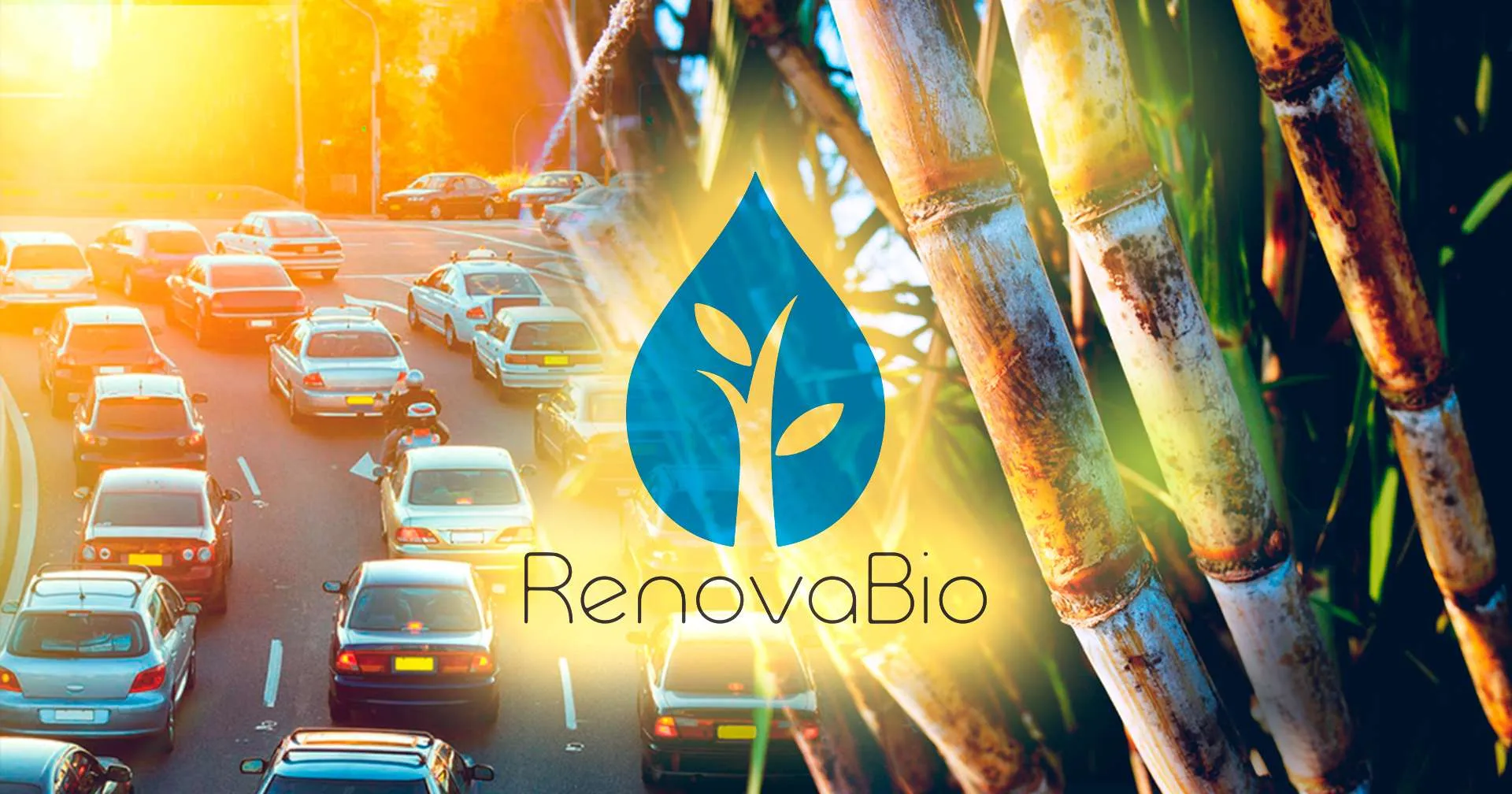 Lei do RenovaBio: inclusão do produtor de cana-de-açúcar na lei é comemorada pela CNA