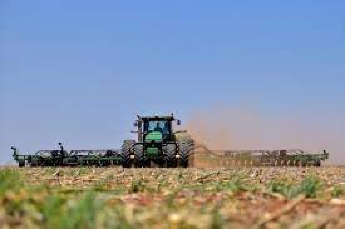 Desde março/24, indicador do algodão varia em um pequeno intervalo