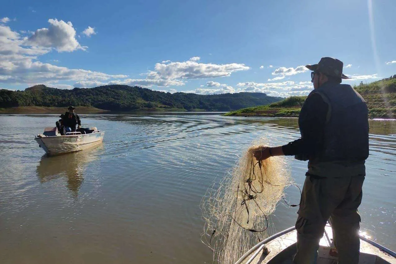 Maior produtor de peixes do Brasil, Paraná quer fortalecer a pesca