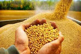 Eleições nos EUA deixam commodities em ritmo lento na CBOT